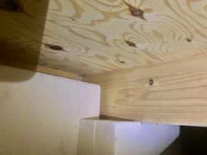 基礎内断熱の床下 シロアリチェック